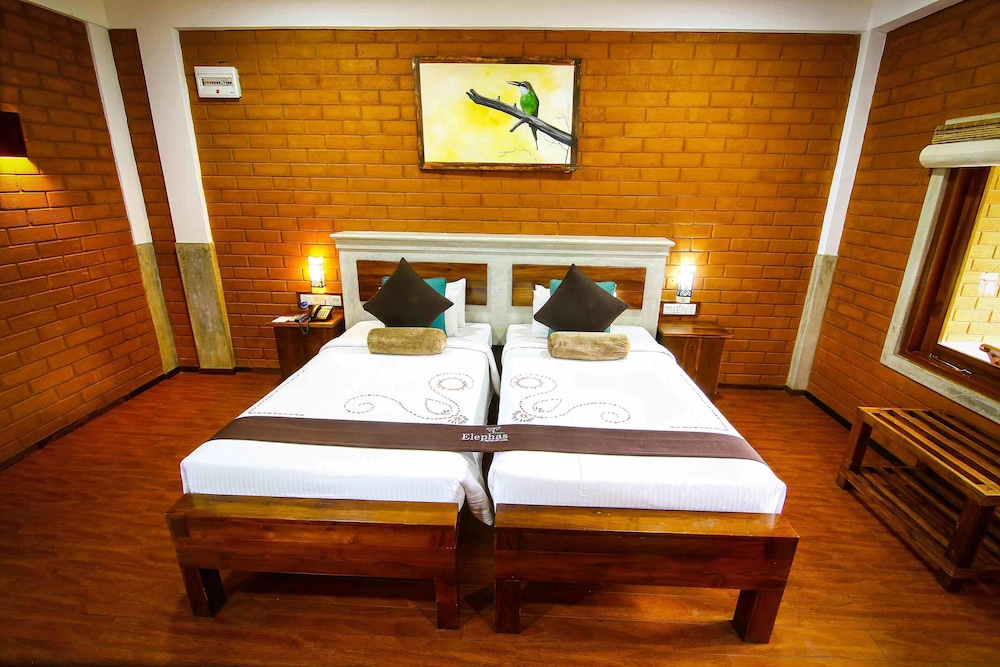 Deluxe Room photo 1