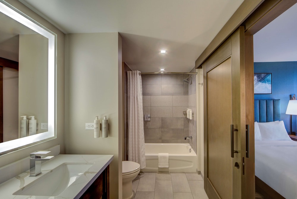 Suite, 1 King Bed, Accessible (Roll-In Shower) - Photo 2