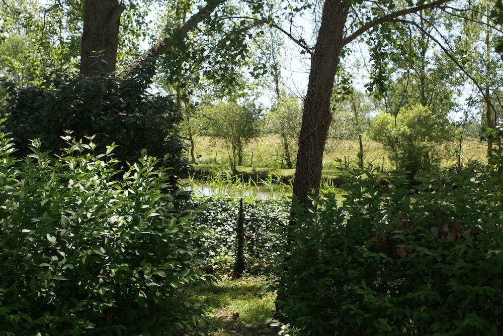 Cottage, 2 Bedrooms (LES VANNEAUX) photo 3