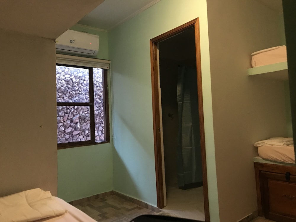 Standard Shared Dormitory, Multiple Beds, Non Smoking, Courtyard View photo 3