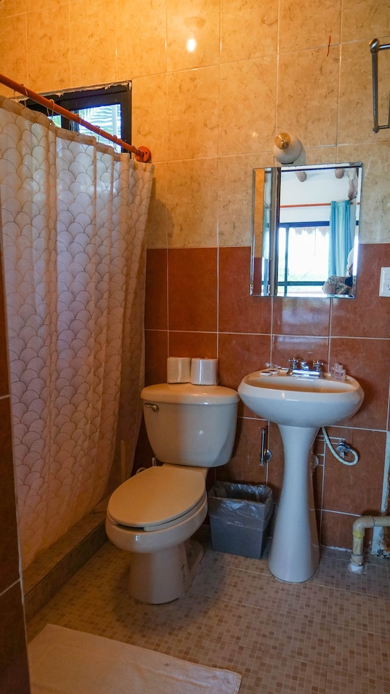 Basic Suite photo 3