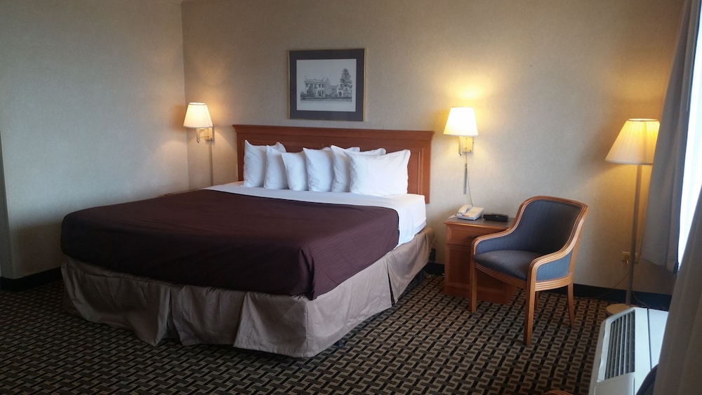 Deluxe 1 King Bed - Photo 11