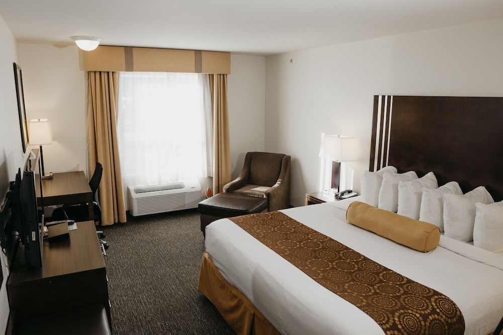 Room, 1 King Bed, Non Smoking photo 1
