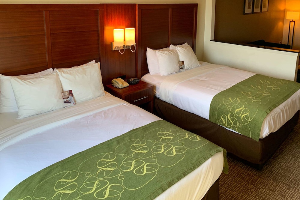 Suite, Multiple Beds, Accessible, Non Smoking - Photo 1