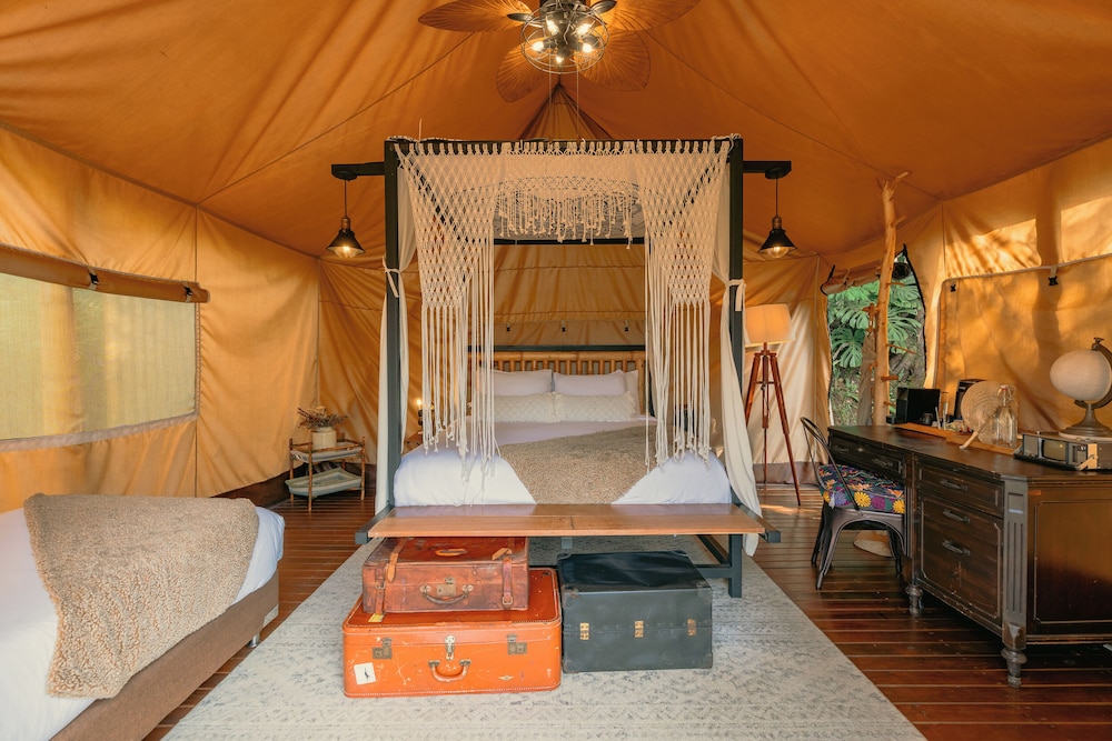 Safari Lux 2 - Photo 5