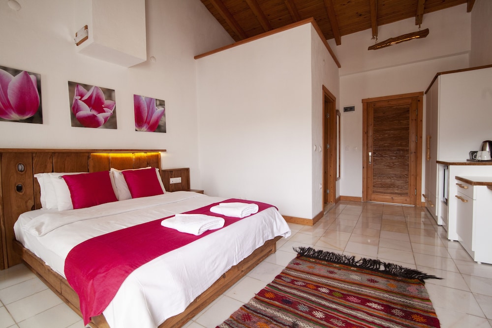 Standard Double Room, 1 Queen Bed, Non Smoking, Mountain View photo 3