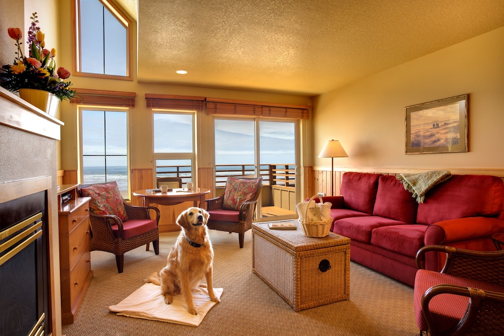 Ocean View Queen Suite with Sofa Sleeper (Pet Friendly)