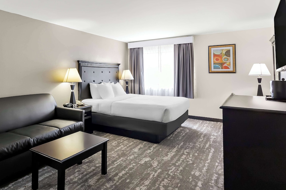 Standard Room, 1 King Bed, Non Smoking, Refrigerator & Microwave (Pet Friendly;with Sofabed) - Photo 1
