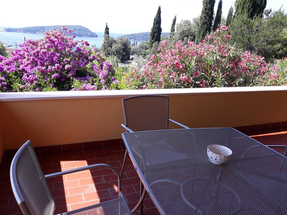 Apartment (One Bedroom Apartment with Terrace) photo 1