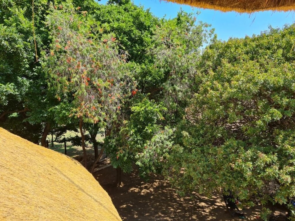 Executive Quadruple Room, Multiple Beds, Balcony, Garden View photo 1