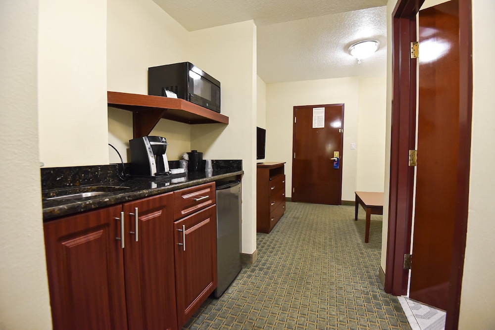 Suite, 1 King Bed - Photo 8