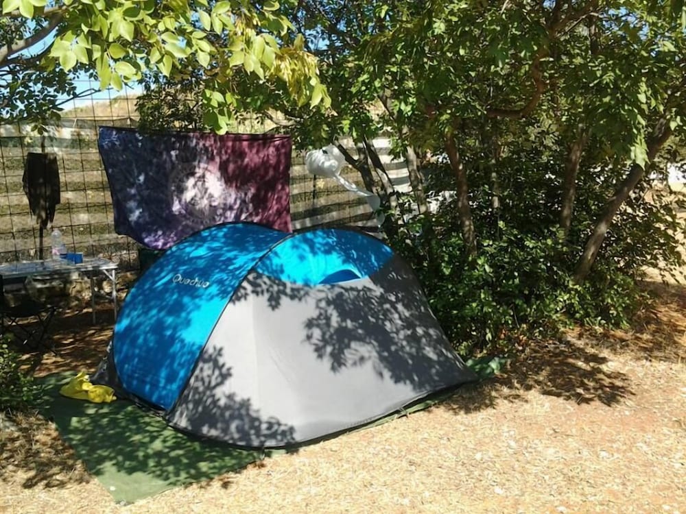 Basic Tent photo 2