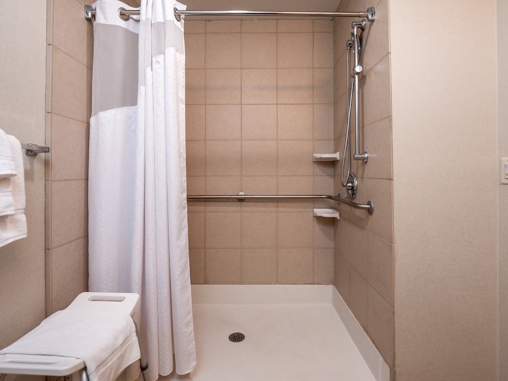Room, 1 King Bed, Accessible (Roll-In Shower) - Photo 3