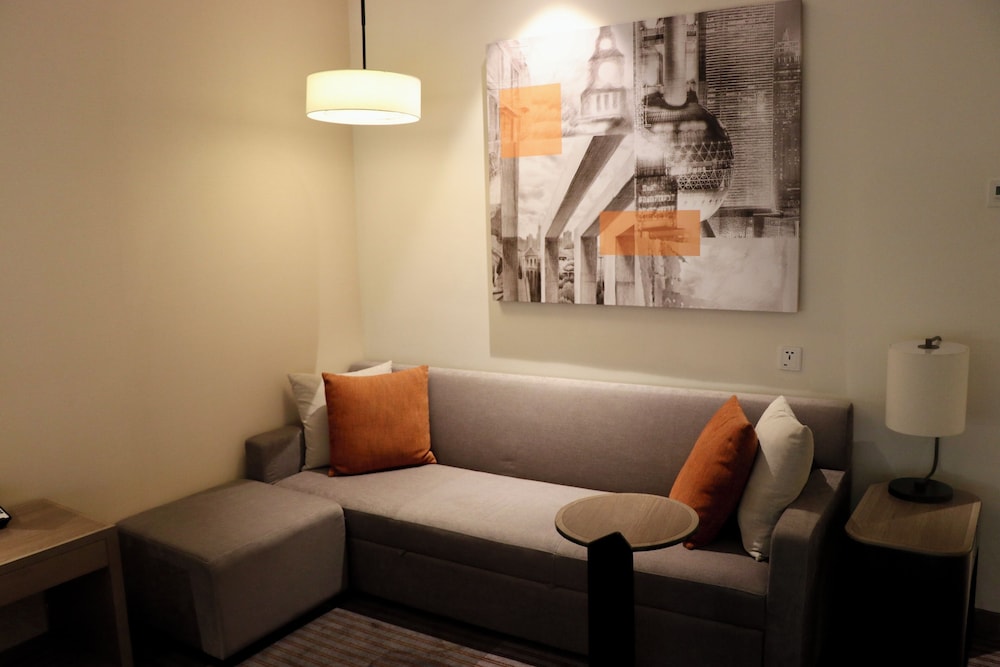 Room, 1 King Bed with Sofa bed, City View photo 3