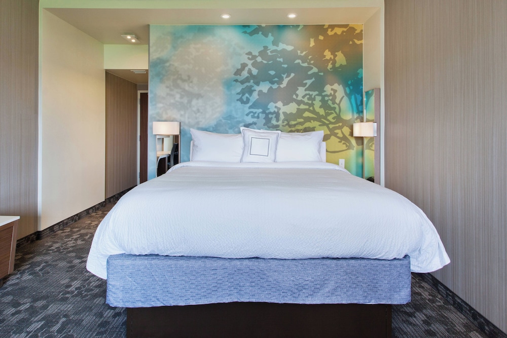 Room, 1 King Bed