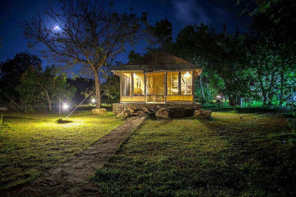 Luxury Glamping Tents photo 3