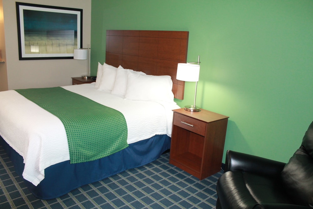 Room, 1 Bedroom