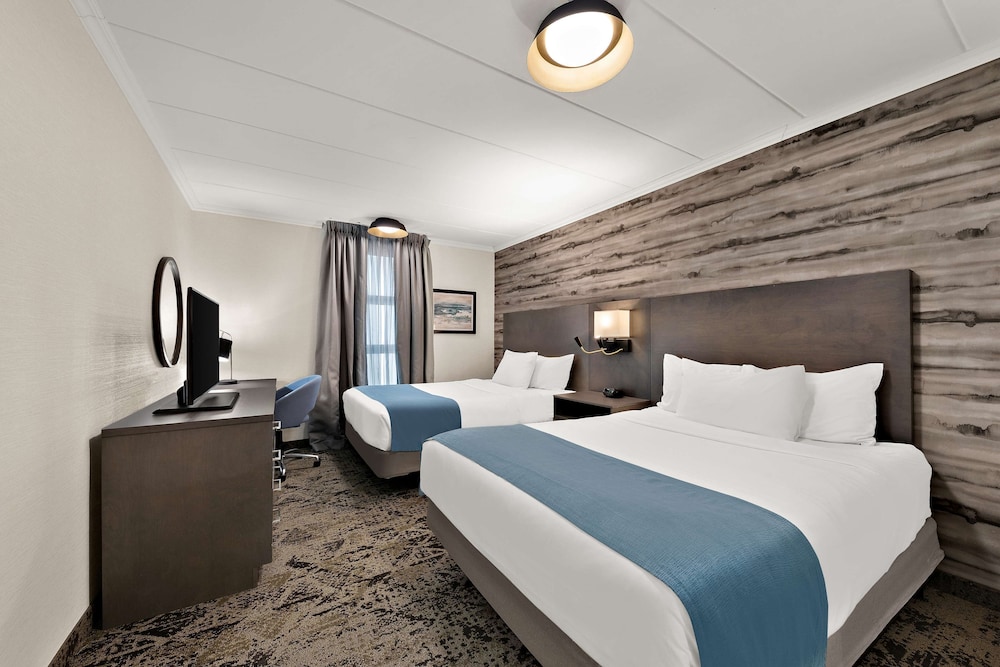Suite, Multiple Beds, Non Smoking, Kitchenette (Walk-in Shower;Larger Room) - Photo 5