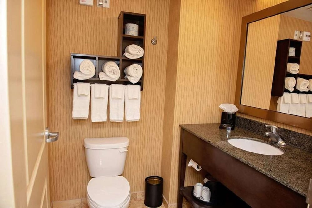 Room, 1 King Bed, Non Smoking, River View photo 3