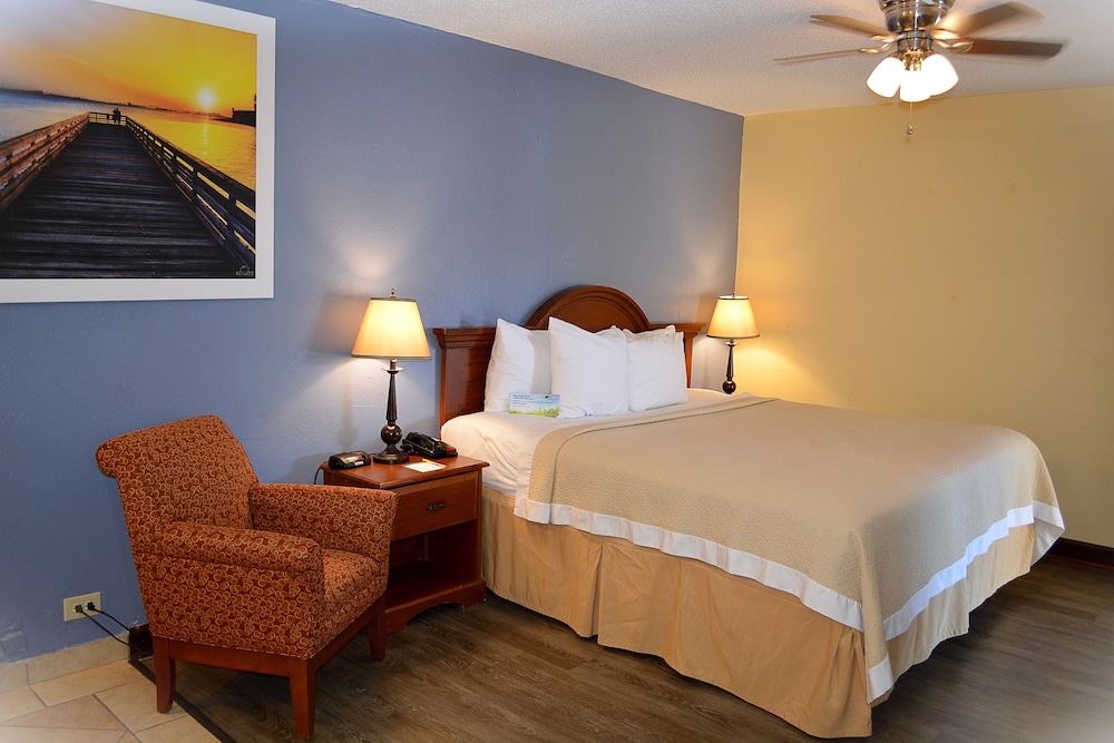 Studio Suite, 1 King Bed, Non Smoking photo 3