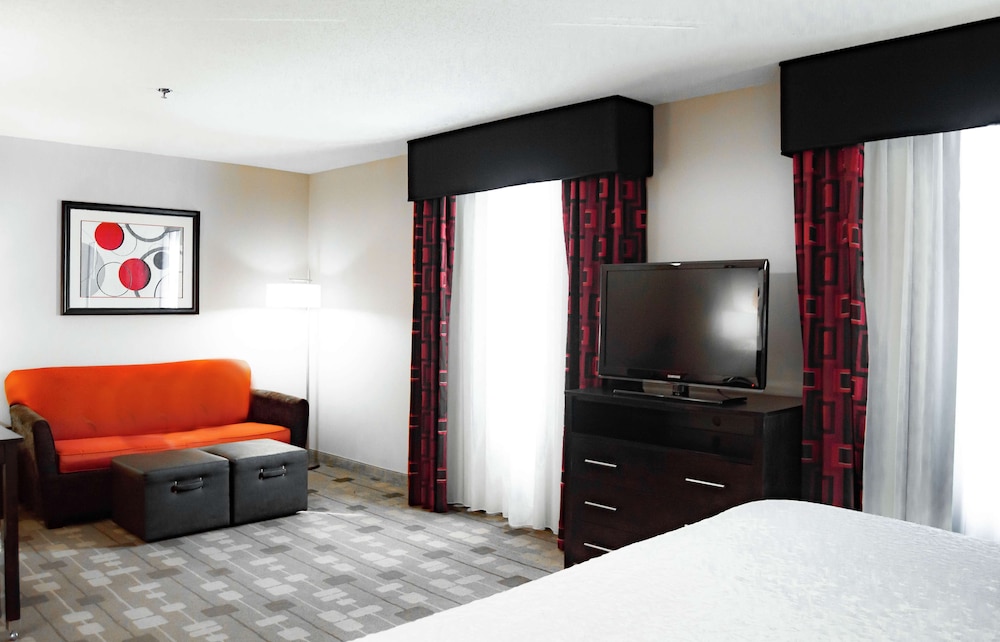 Studio, 1 King Bed With Sofa Bed, Accessible (Mobility Accessible Roll-In Shower) - Photo 6