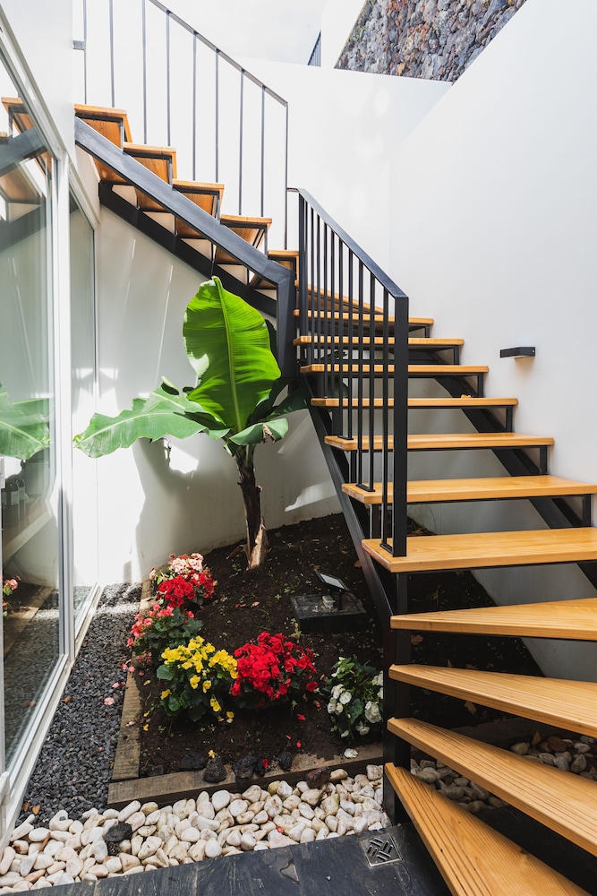 Premium Studio Suite photo 3