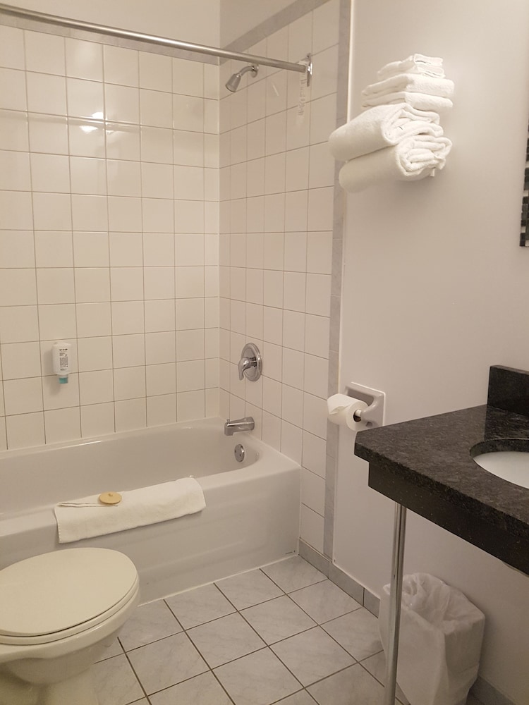 Suite, 1 Bedroom - Photo 8