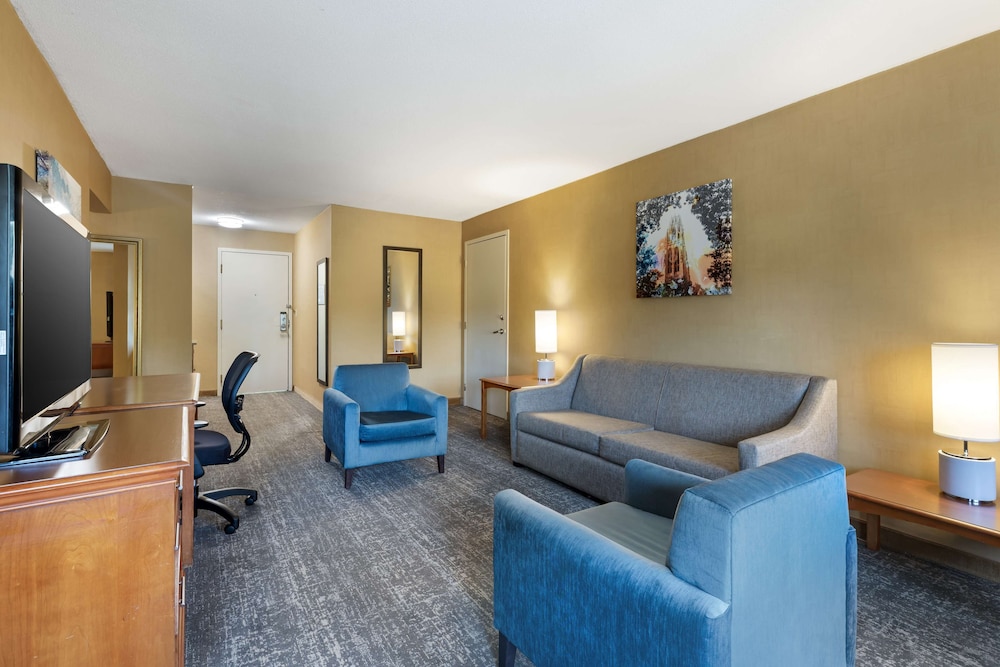 Suite, 1 King Bed, Non Smoking, Refrigerator & Microwave (With Sofabed) - Photo 4
