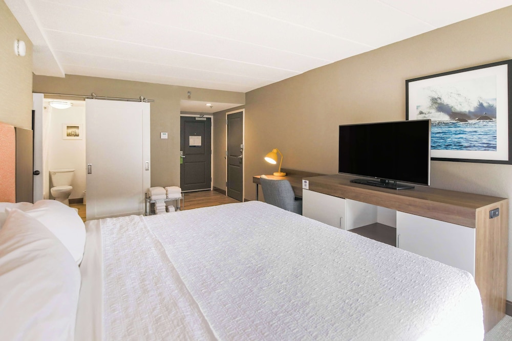 Suite, 1 King Bed photo 2