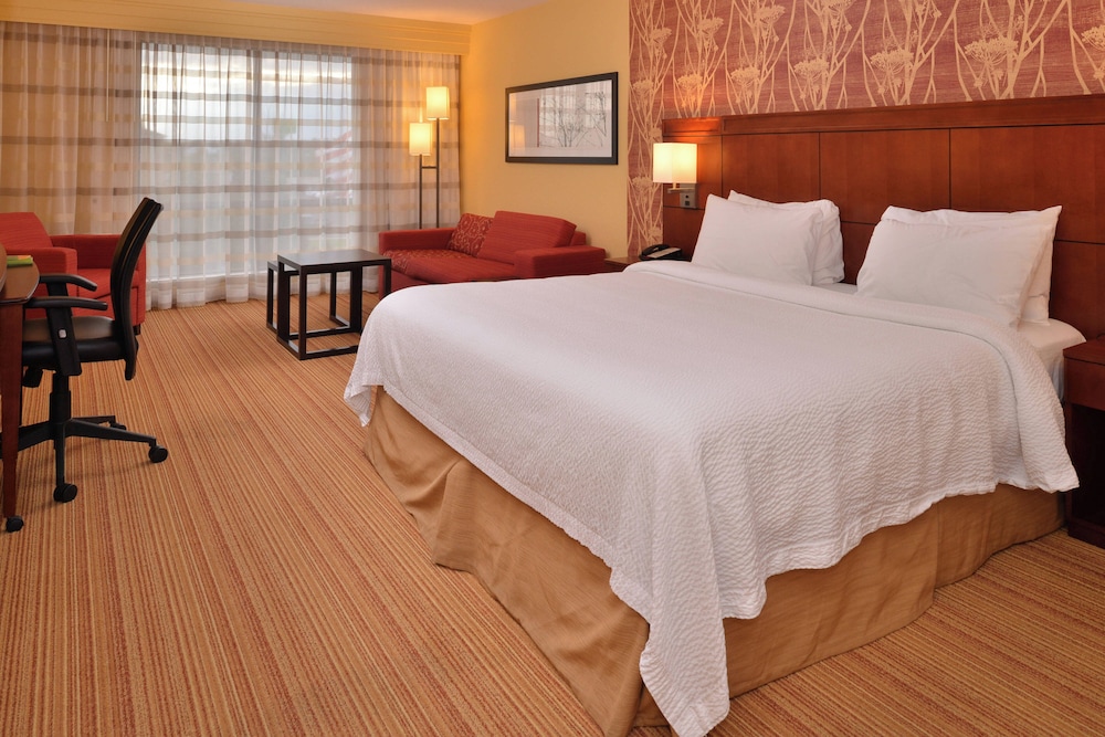 Room, 1 King Bed With Sofa Bed, Non Smoking (Mobility/Hearing Access, Transf Shwr) - Photo 2