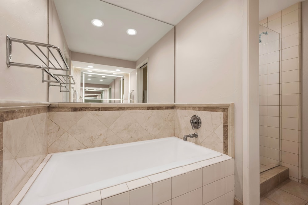 Studio Suite - Photo 5