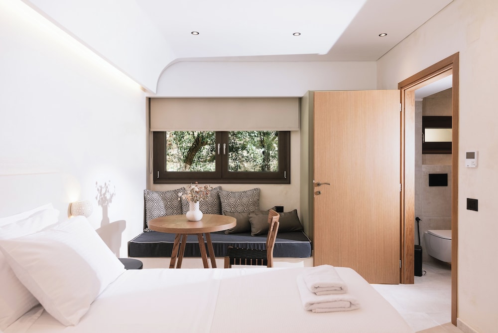 Deluxe Double or Twin Room photo 2
