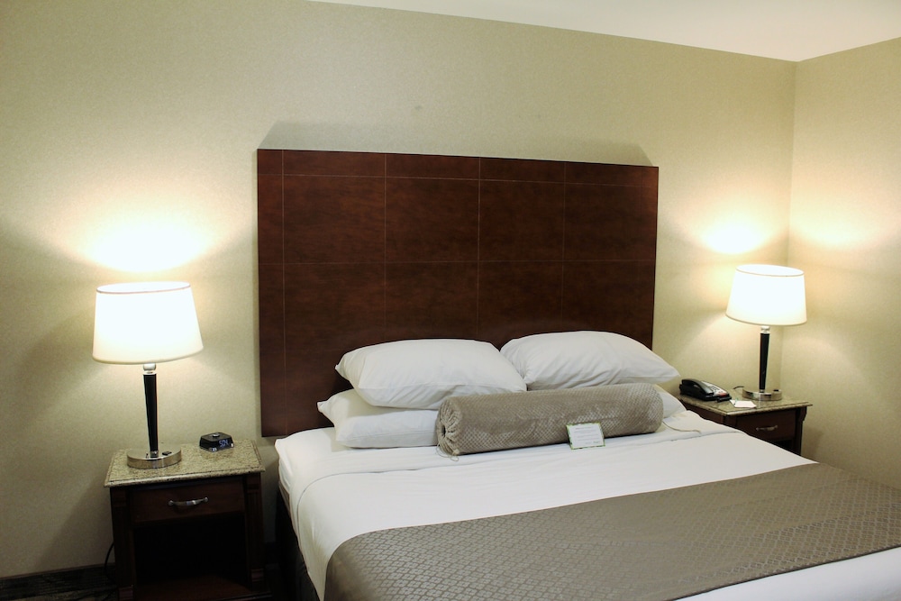 Premium Room, Fireplace photo 3