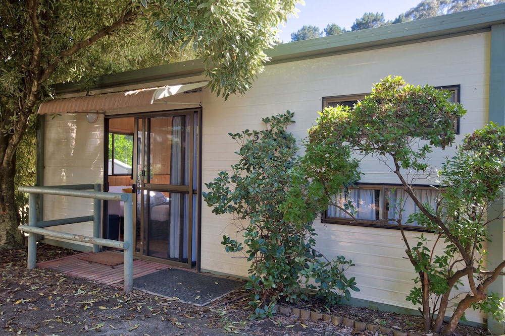 Camelia Cottage photo 3