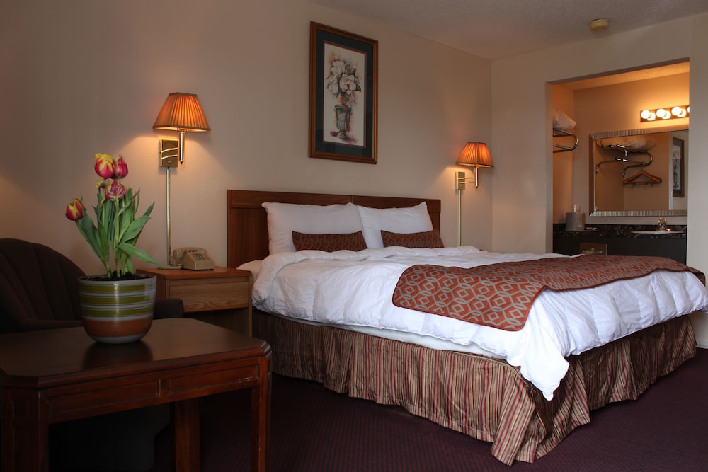Standard Room, 1 King Bed photo 2