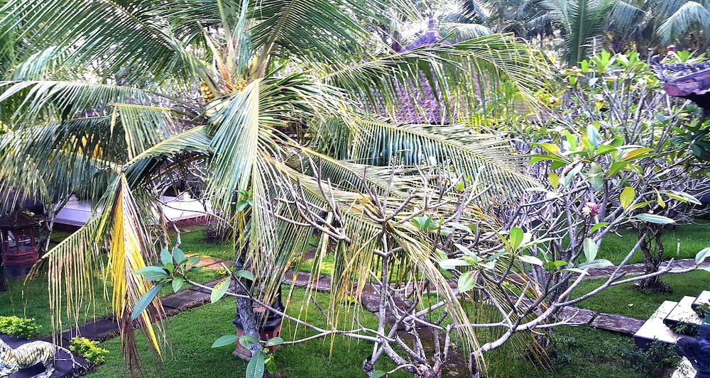 Superior Double Room, 1 Bedroom, Garden View photo 3