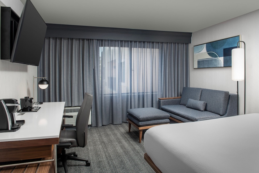 Room, 1 King Bed with Sofa bed (Mobility/Hearing Access, Roll-In Shwr) - Photo 4