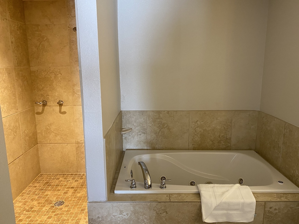 Suite, 1 Bedroom - Photo 9