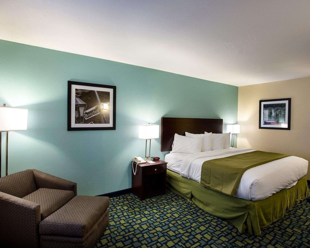 Room, 1 King Bed