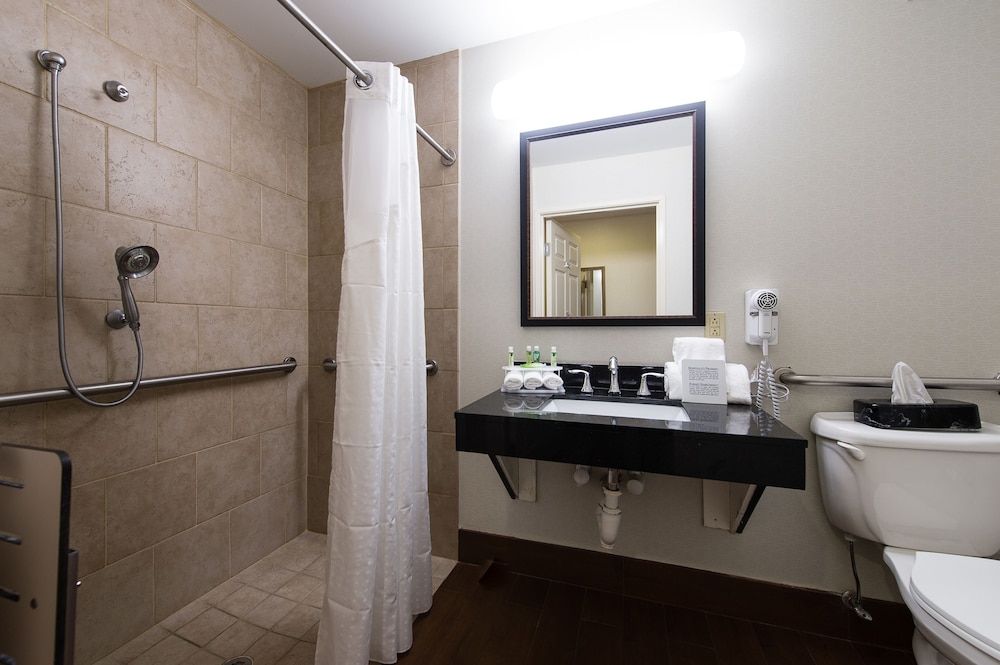 Suite, 1 Bedroom, Accessible (1 Kng, Comm, Roll Shwr) - Photo 6
