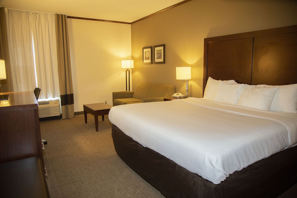 Suite, 1 King Bed with Sofa bed, Non Smoking photo 3