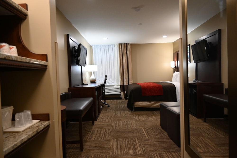 Business King Studio Suites with Extra Large Sofa bed
