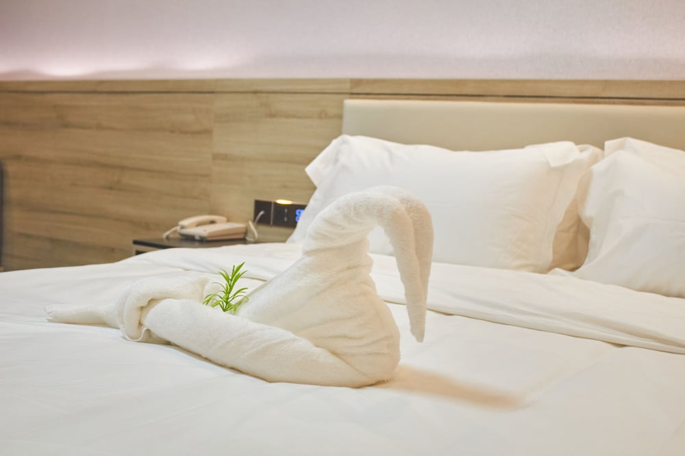 Superior Room, City View photo 1