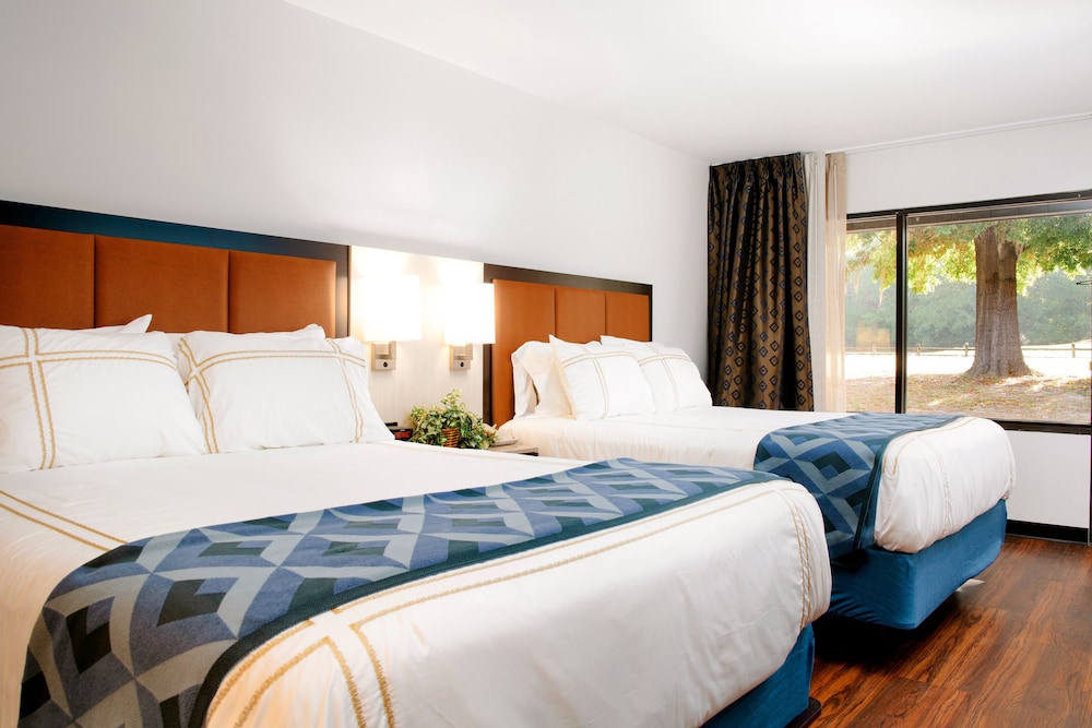 Premium Room, 2 Queen Beds photo 1