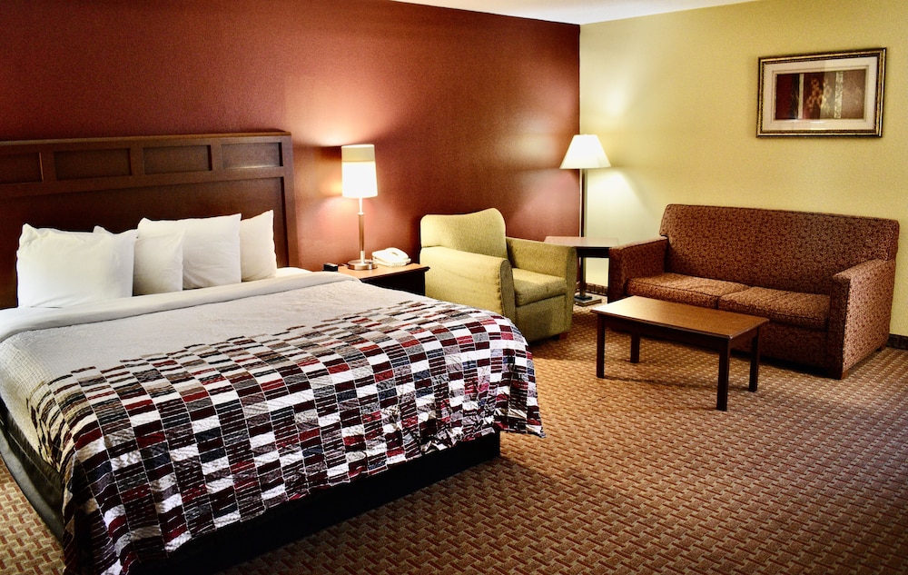 Standard Suite, 1 King Bed with Sofa bed, Smoking - Photo 5