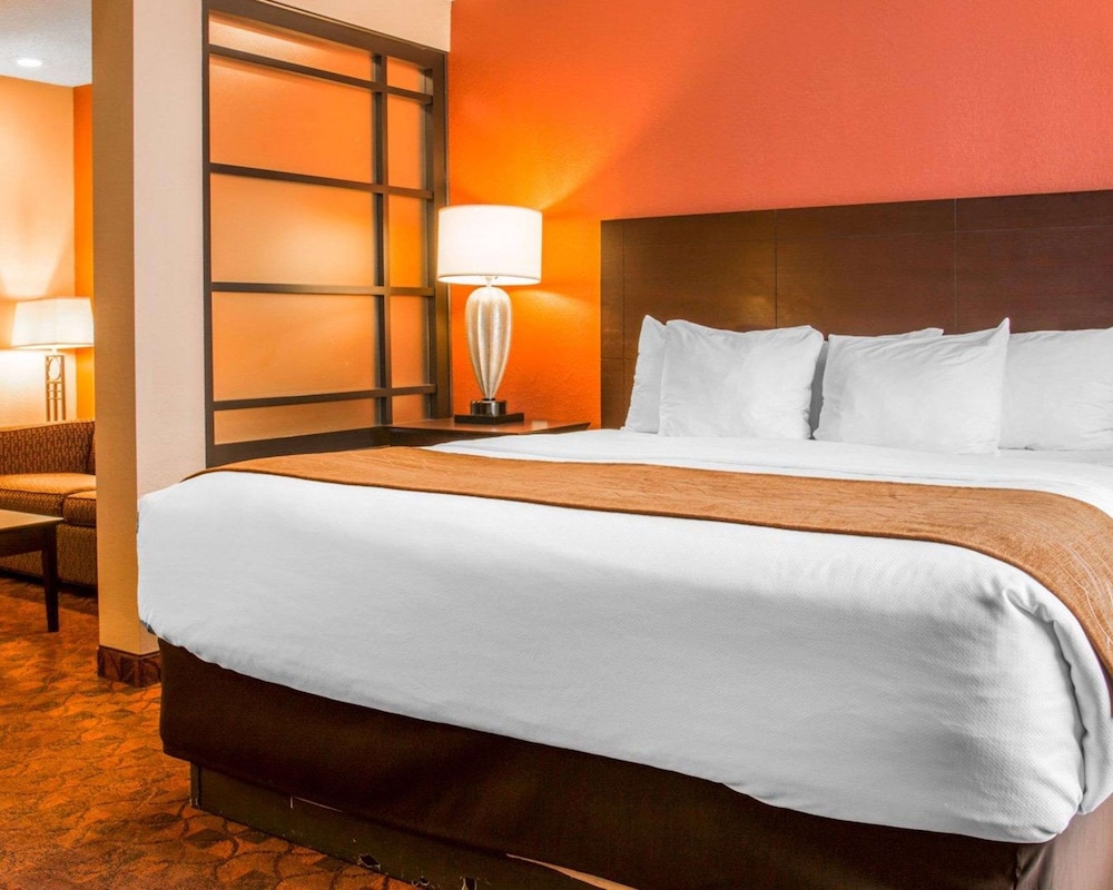 Suite, 1 Bedroom, Non Smoking (1 King and 2 Person Sofa Bed) - Photo 1
