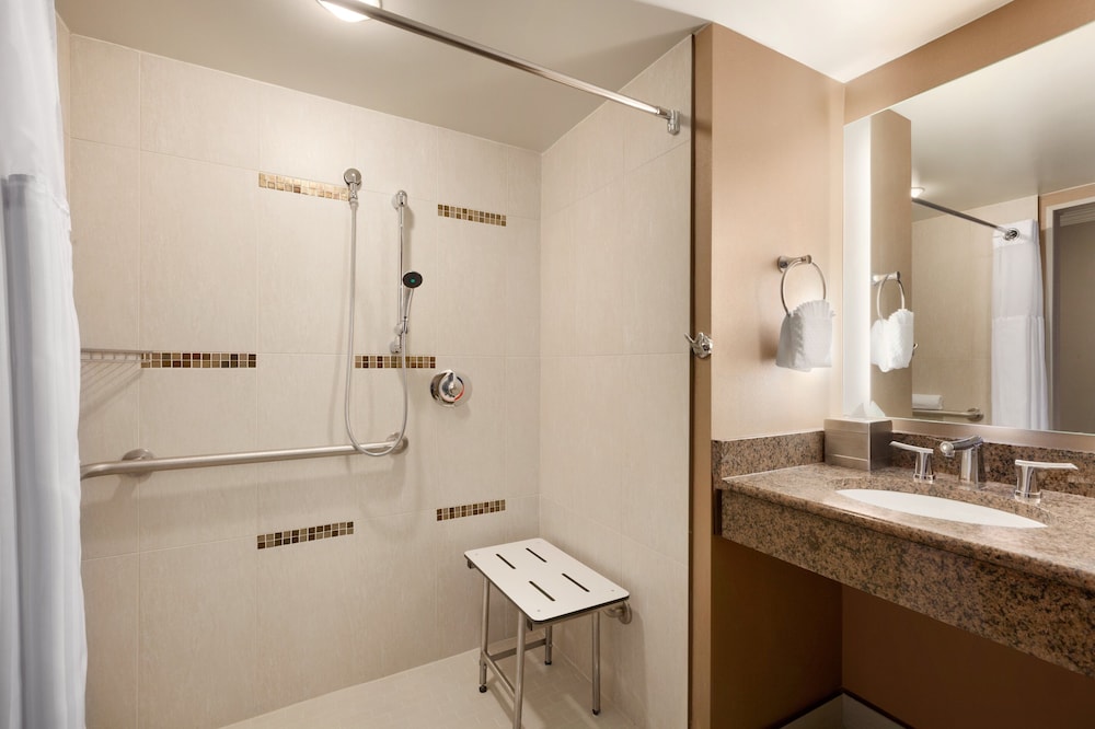 Room, 1 King Bed, Accessible (Roll-In Shower) - Photo 2