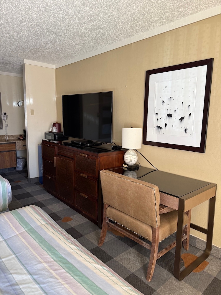 Deluxe Double Room, 2 Queen Beds photo 2