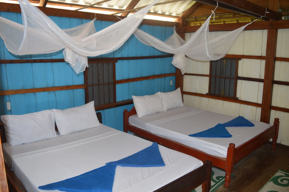 Traditional Room, 1 Bedroom, Garden View photo 1