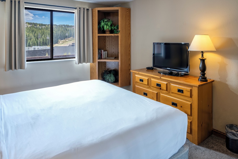 Suite, 1 Bedroom - Photo 6